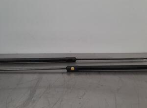 Gas Spring DS DS 4 II (F_, FB_, F3_)