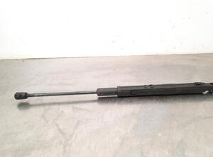 Gas Spring MERCEDES-BENZ C-CLASS (W205), MERCEDES-BENZ C-CLASS (W204)