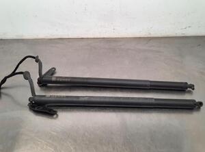 Gas Spring AUDI Q5 (FYB, FYG)