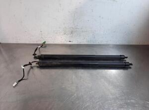 Gas Spring PEUGEOT 5008 II (MC_, MJ_, MR_, M4_)