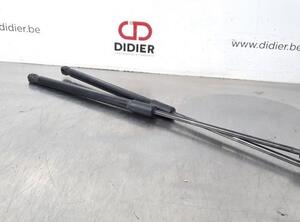 Gas Spring Engine Hood VW POLO (6R1, 6C1), VW POLO Van (6R)