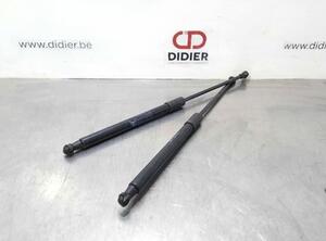 Bootlid (Tailgate) Gas Strut Spring CITROËN C3 III (SX), CITROËN C3 II (SC_)