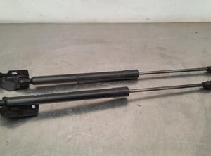 Bootlid (Tailgate) Gas Strut Spring PEUGEOT 2008 II (UD_, US_, UY_, UK_)