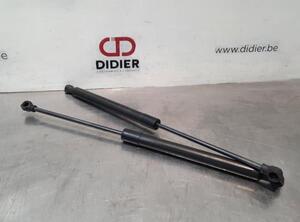 Bootlid (Tailgate) Gas Strut Spring RENAULT MEGANE IV Hatchback (B9A/M/N_), RENAULT MEGANE E-TECH SUV