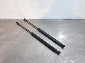 Bootlid (Tailgate) Gas Strut Spring PEUGEOT 207 (WA_, WC_)