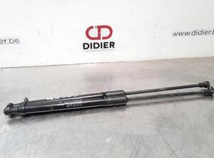 Bootlid (Tailgate) Gas Strut Spring CITROËN C3 III (SX), CITROËN C3 II (SC_)