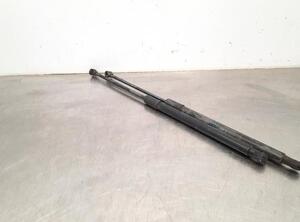 Bootlid (Tailgate) Gas Strut Spring RENAULT CLIO V (B7_)