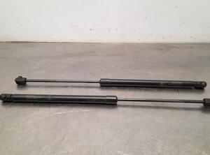 Bootlid (Tailgate) Gas Strut Spring SUZUKI BALENO (FW, EW)