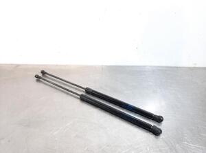 Bootlid (Tailgate) Gas Strut Spring NISSAN QASHQAI II SUV (J11, J11_)