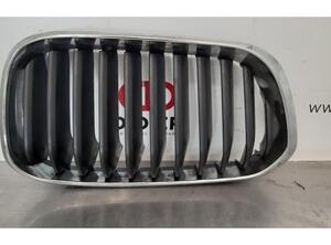 Kühlergrill BMW 1er F20 7371748 P13441393