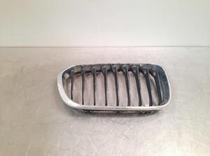 Radiator Grille BMW 1 (F20)