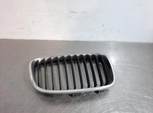 Kühlergrill BMW 1er F20 51137239022 P18526508