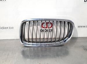 Radiator Grille BMW 3 Touring (E91)