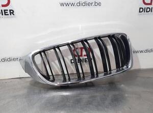 Kühlergrill BMW 4er Coupe F32, F82 7294814 P15793199