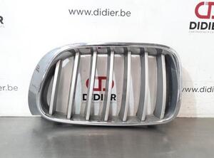 Radiator Grille BMW X4 (F26), BMW X3 (F25)