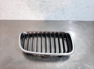 Kühlergrill rechts BMW 1er F20 51137239022 P19579807