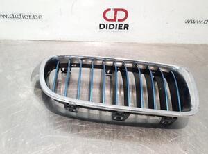 Radiator Grille BMW 3 (F30, F80)