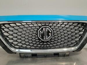 Radiateurgrille MG MG HS