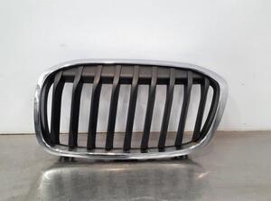 Radiateurgrille BMW 2 Gran Tourer (F46)