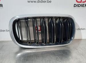 Radiator Grille BMW X6 (F16, F86)