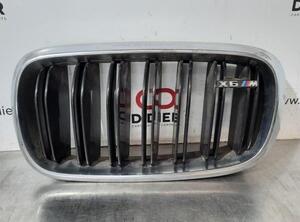 Radiator Grille BMW X6 (F16, F86)