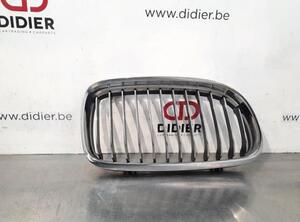 Radiator Grille BMW 3 Touring (E91)