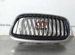 Radiateurgrille BMW 2 Gran Tourer (F46)