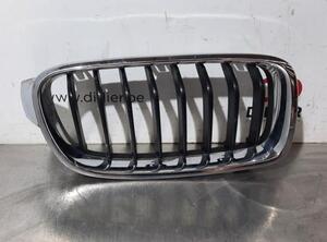 Radiator Grille BMW 3 Touring (F31), BMW 3 Touring Van (F31), BMW 3 Touring Van (G21)