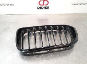 Radiator Grille BMW 1 (F20)