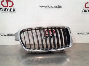 Radiator Grille BMW 3 Touring (F31), BMW 3 Touring Van (F31), BMW 3 Touring Van (G21)