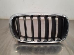 Radiator Grille BMW X5 (F15, F85)