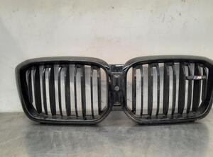 Radiator Grille BMW X3 (G01, F97)