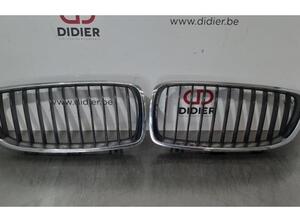 Radiator Grille BMW 4 Convertible (F33, F83)