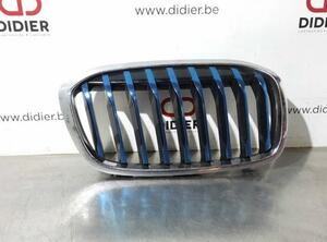 Kühlergrill BMW 2er Active Tourer F45 7487462 P14447769