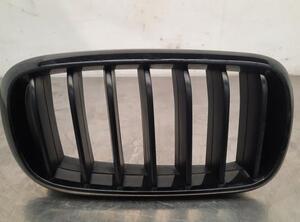 Radiator Grille BMW X5 (F15, F85)