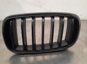 Radiator Grille BMW X5 (F15, F85)