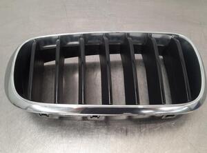 Radiator Grille BMW X6 (F16, F86)