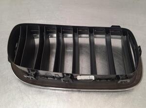 Radiator Grille BMW X6 (F16, F86)