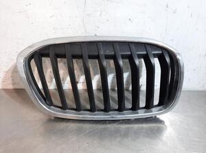 Radiateurgrille BMW 2 Gran Tourer (F46)