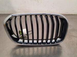 Radiator Grille BMW 1 (F20)