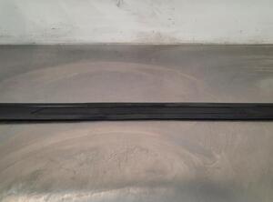 Trim Strip Bumper BMW 1 (F21)