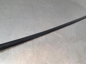 Trim Strip Door BMW X5 (G05, F95)