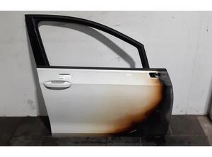 Door VW GOLF VIII (CD1)