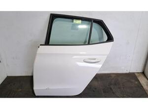 Door SKODA FABIA IV (PJ3)