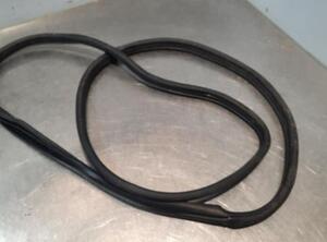 Door Seal HYUNDAI i20 III (BC3, BI3)