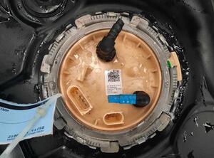 Fuel Pump VW TOURAN (5T1)