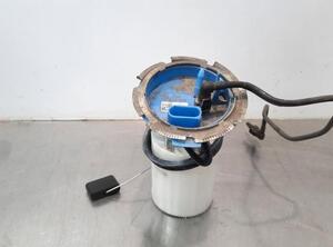 Fuel Pump VW GOLF VII (5G1, BQ1, BE1, BE2)