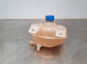 Coolant Expansion Tank FIAT DOBLO Cargo (263_), FIAT DOBLO Platform/Chassis (263_), FIAT DOBLO MPV (263_)