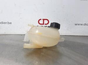 Coolant Expansion Tank DACIA DUSTER (HM_), DACIA DOKKER MPV (KE_), DACIA DUSTER (HS_), DACIA LODGY (JS_)