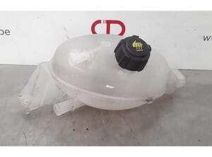 Coolant Expansion Tank RENAULT MASTER III Van (FV)